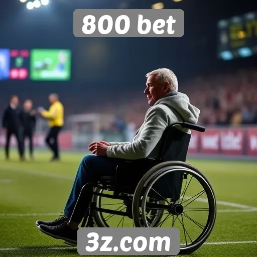 Acessibilidade do site 800 bet para novos usuários