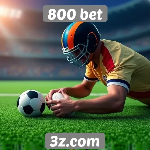 Avaliação das funcionalidades do site 800 bet